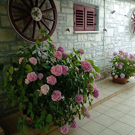 Apartman Sunce Umag Zewnętrze zdjęcie