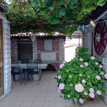 Apartman Sunce Umag Zewnętrze zdjęcie