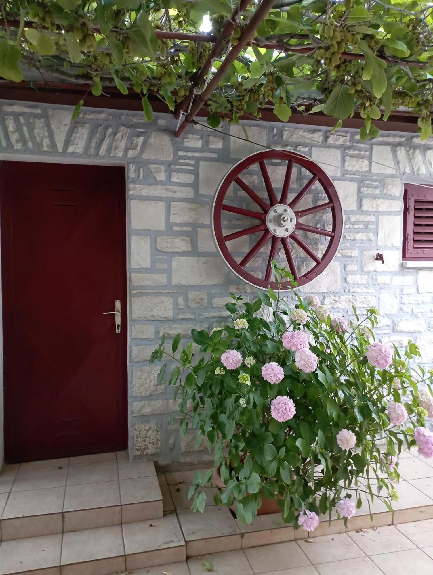 Apartman Sunce Umag Zewnętrze zdjęcie