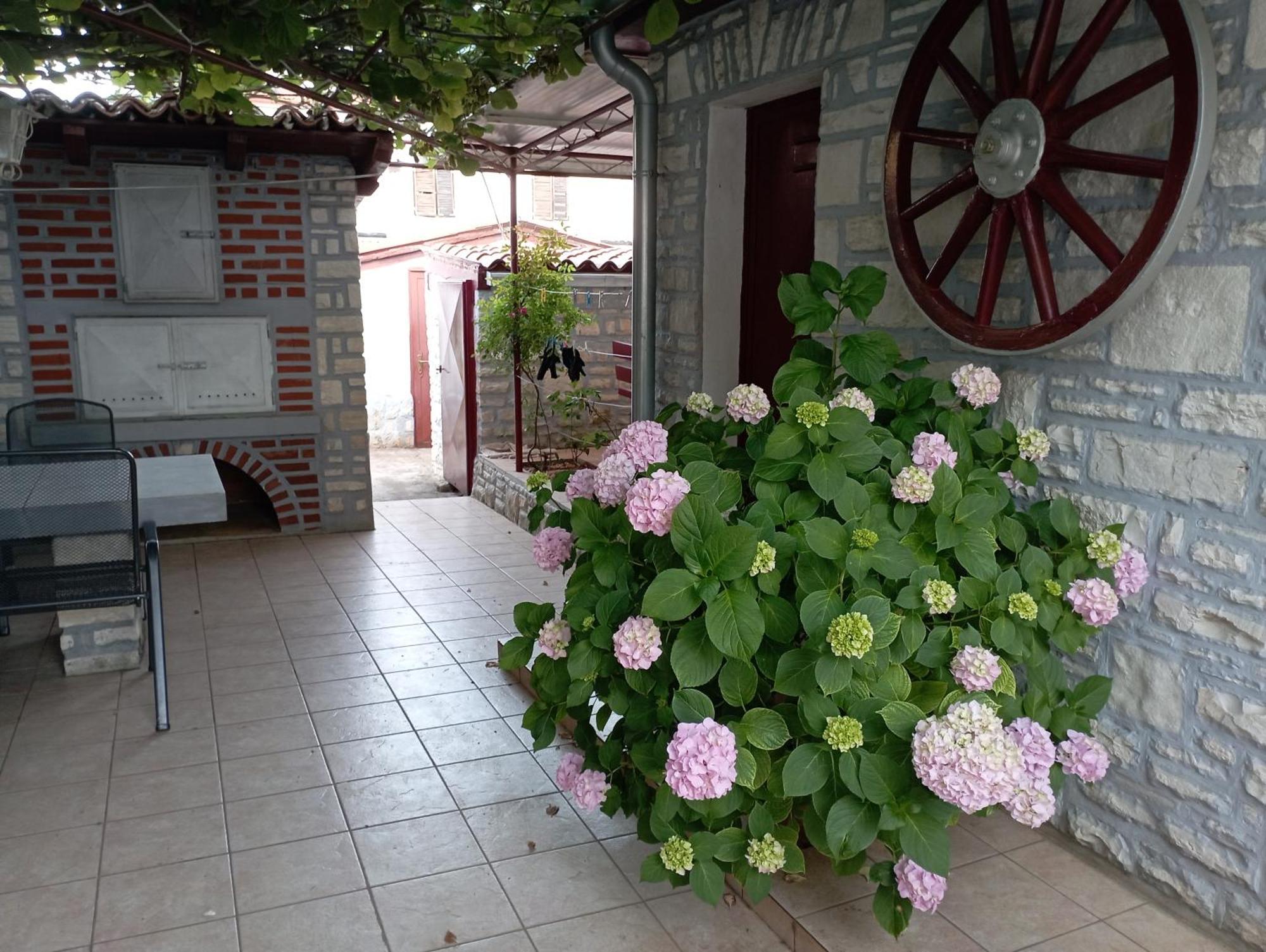 Apartman Sunce Umag Zewnętrze zdjęcie
